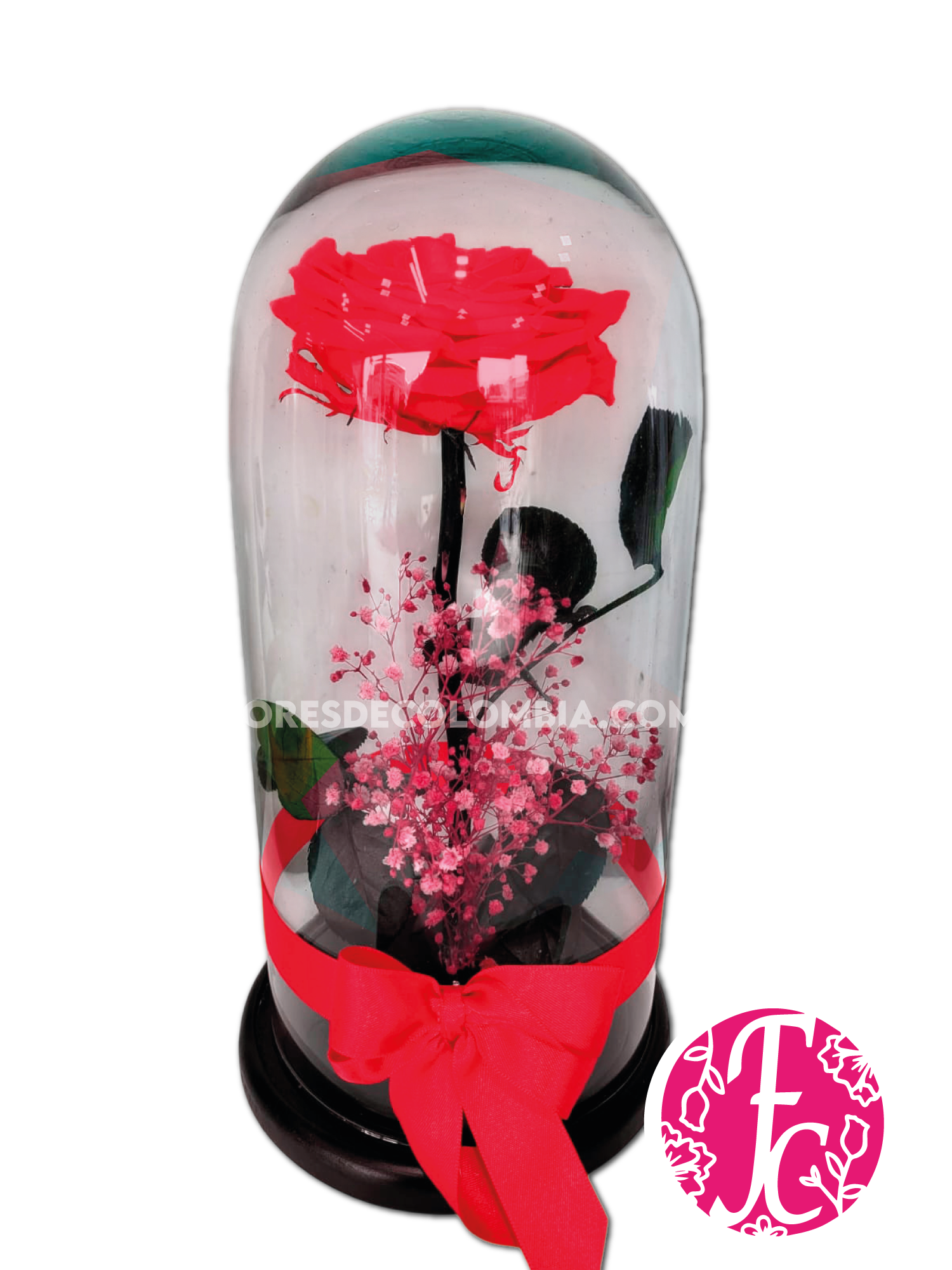 Rosa preservada Roja - Flores de Colombia