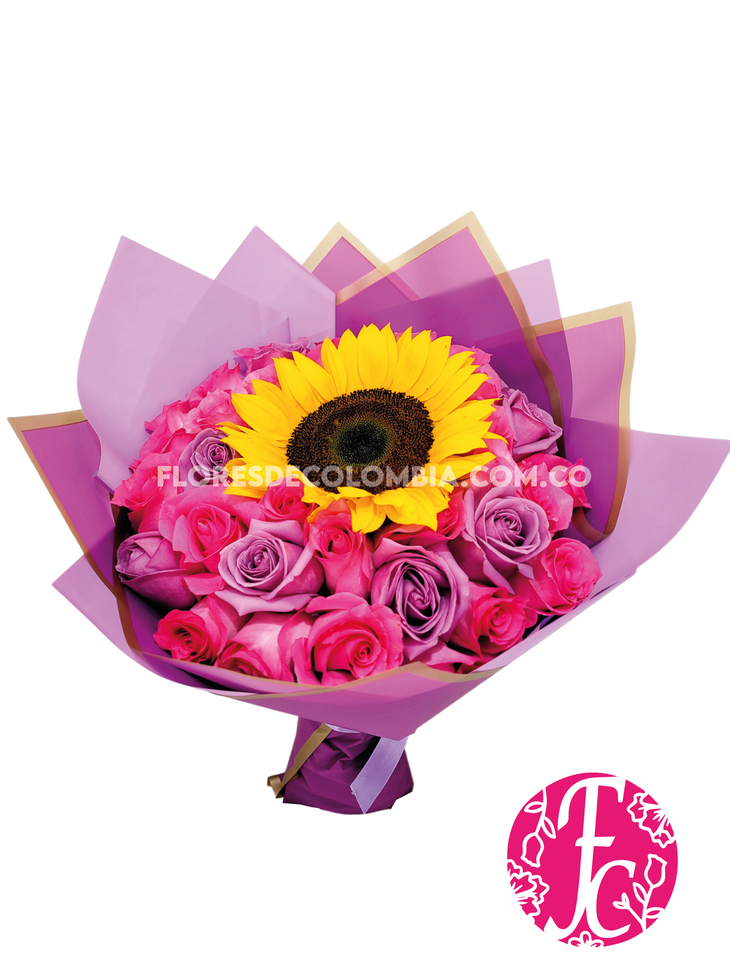 Girasol Imperial - Flores de Colombia