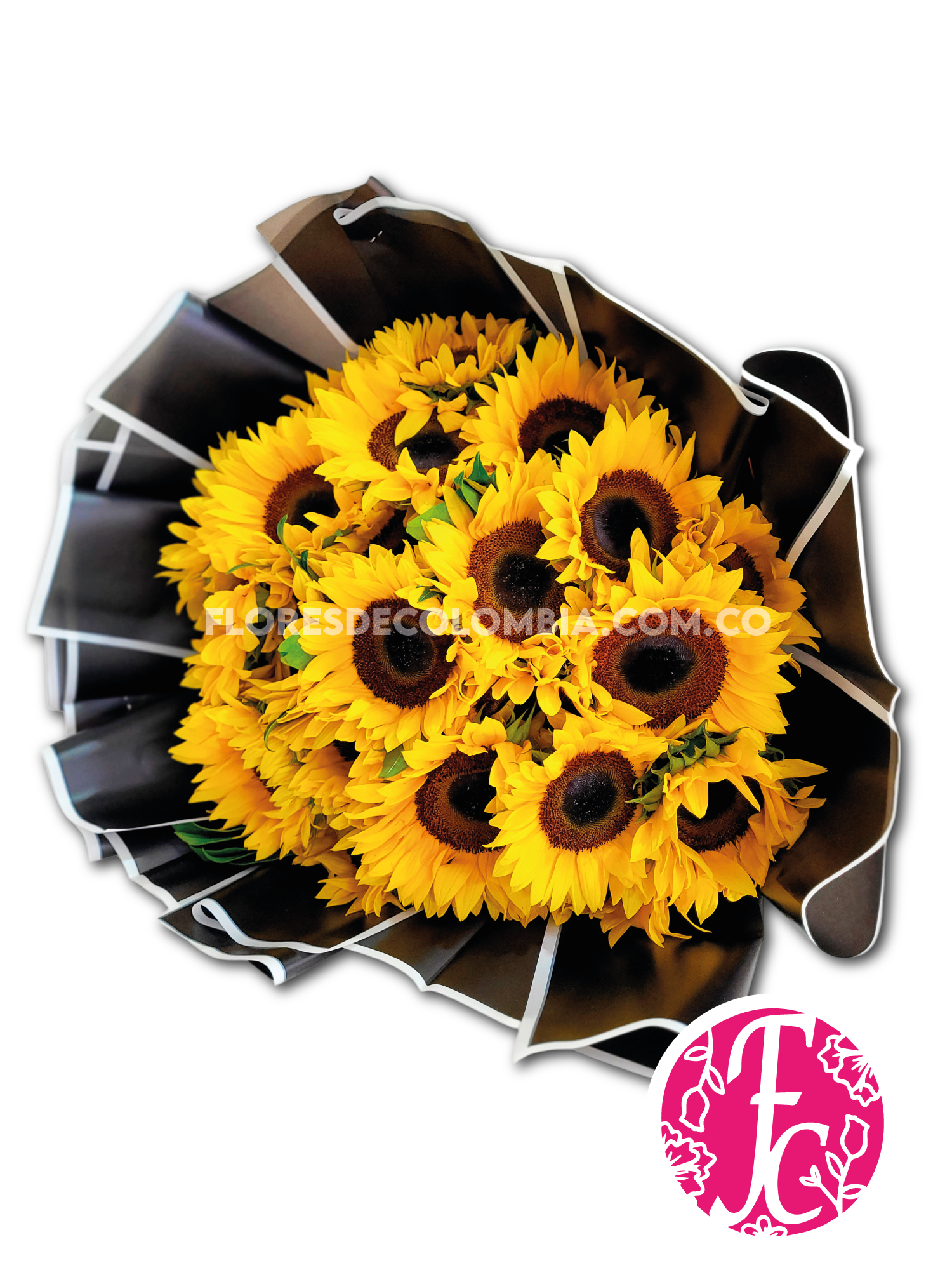 Dulce Primavera - Flores de Colombia