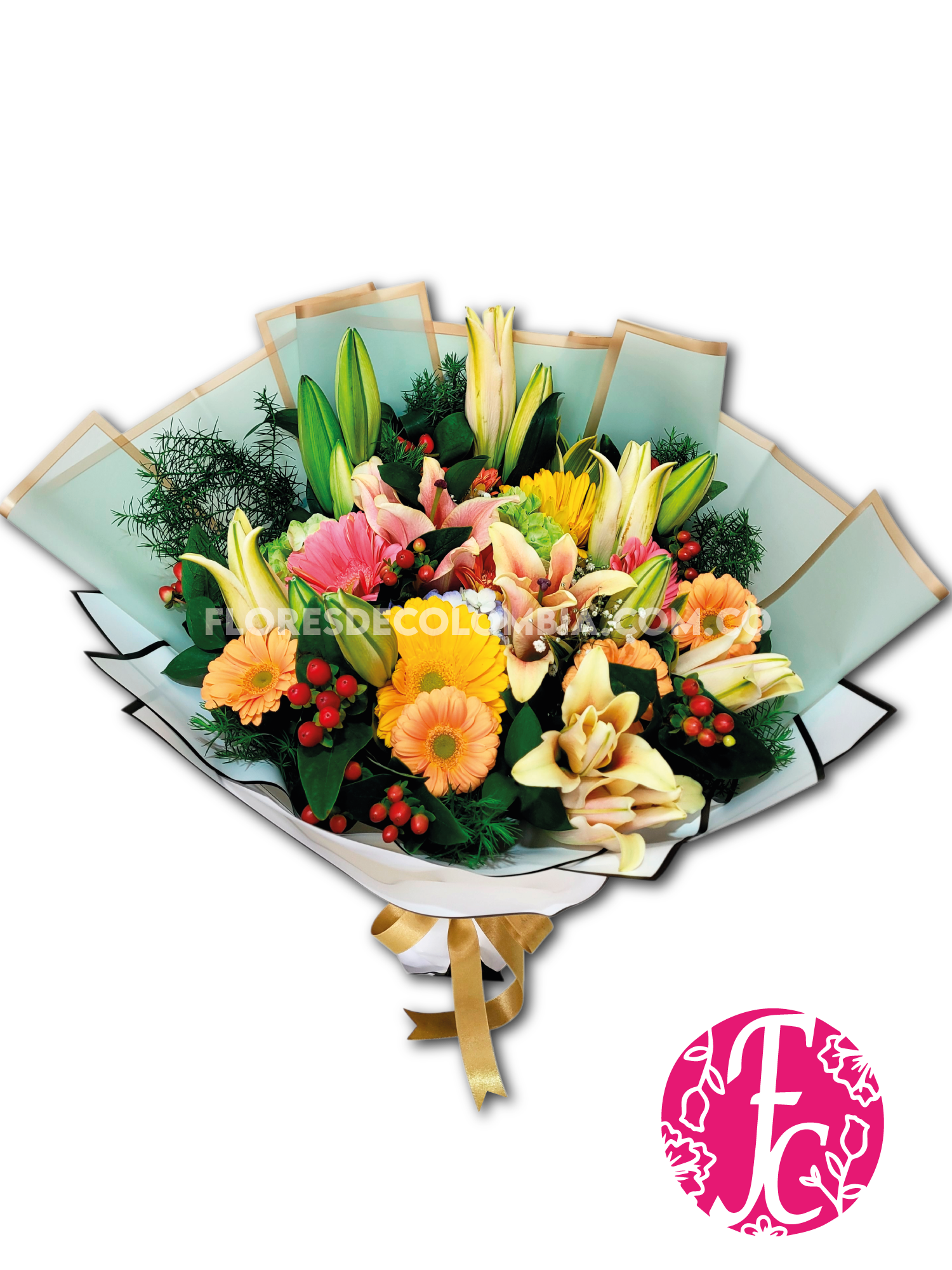 Aurora Tropical - Flores de Colombia